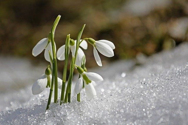 20  марта  местами по Татарстану пройдет небольшой снег