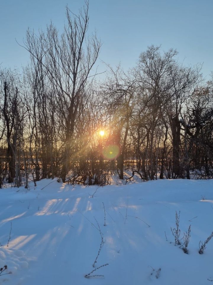 Апрель в Татарстане обещает быть теплым
