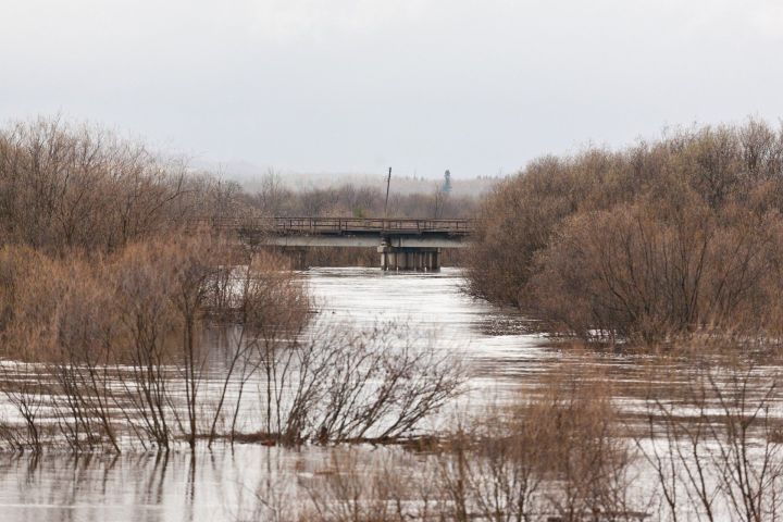 В Татарстане 5&nbsp;низководных мостов из-за паводка были подтоплены&nbsp;