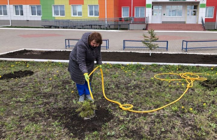 Коллектив гимназии провёл акцию по озеленению территории гимназии &nbsp; "Посадим дерево – разобьем дендрарий"
