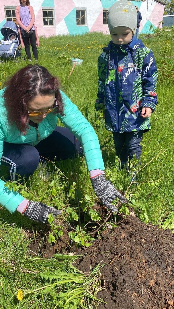 Сегодня 26 мая на территории Центра детского творчества состоялась акция "Посади дерево"