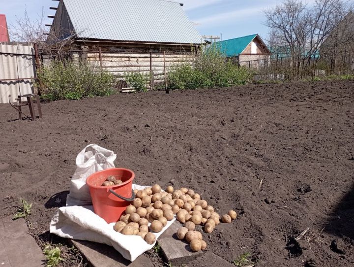 Весенне-огородные работы в Ютазинском районе в самом разгаре