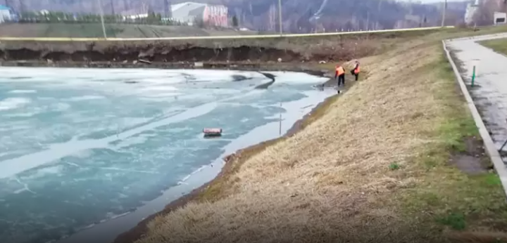 В Лениногорске возбудили уголовное дело о массовом море рыбы