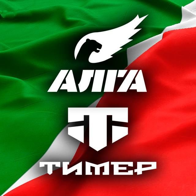 В Татарстане запустили telegram-канал именных батальонов «Алга» и "Тиммер"