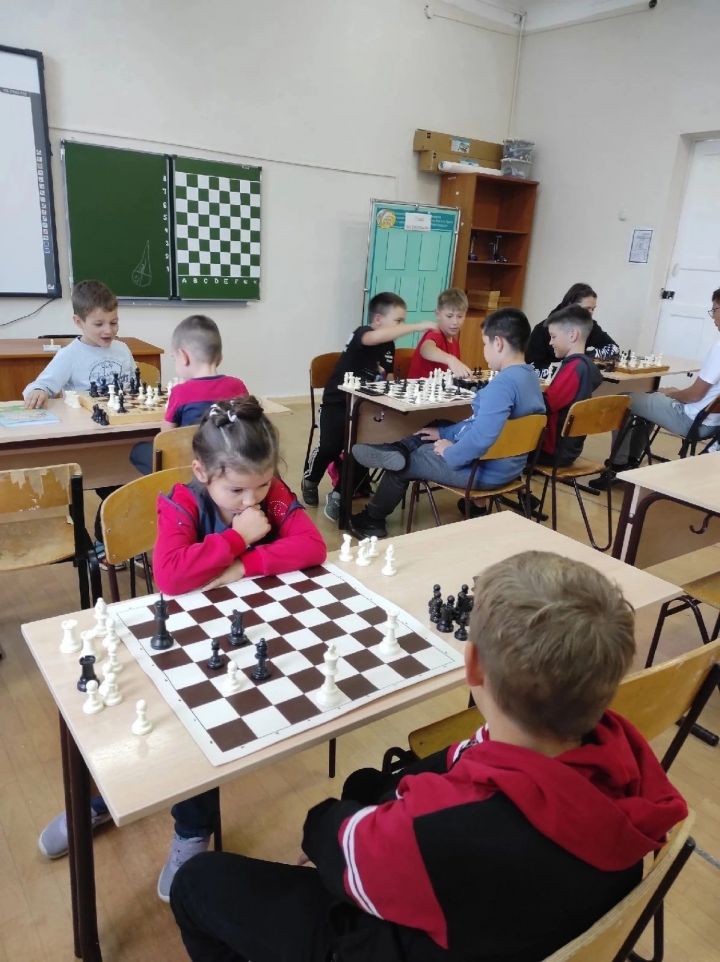 Шахматы-это борьба умов, в которой побеждает более умный, более знающий, более умелый
