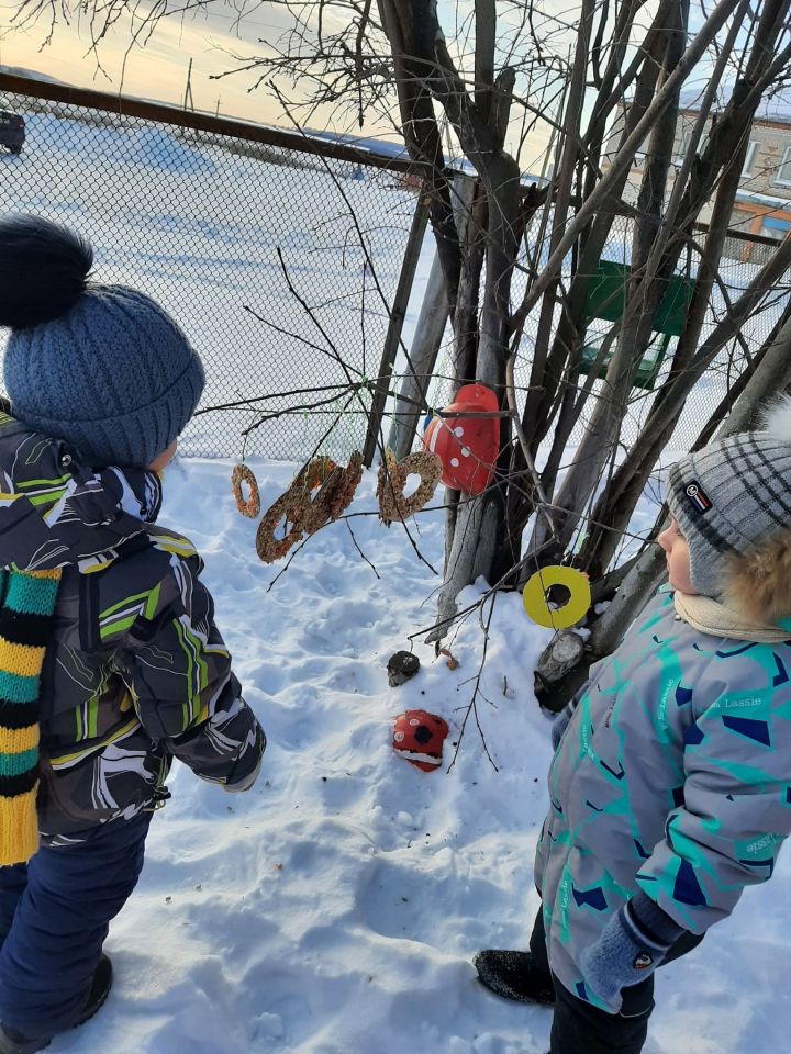 Ребята детского сада приняли участие в акции «Покормите птиц зимой»