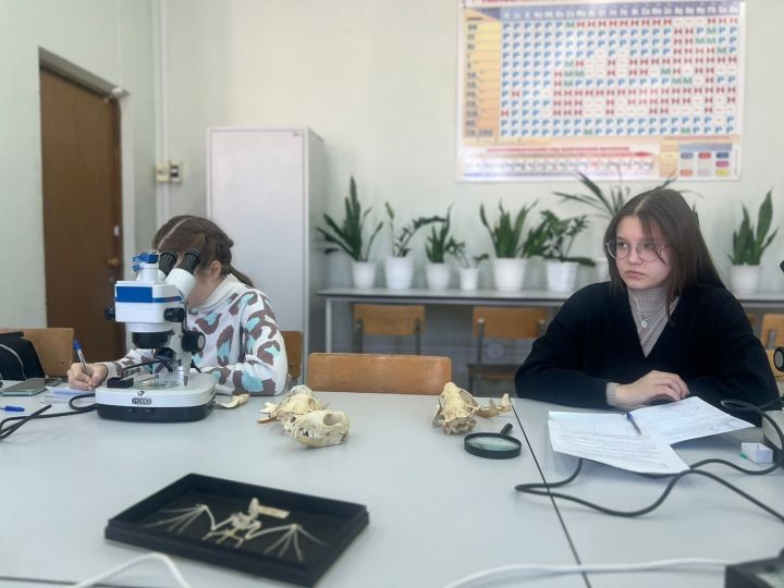 Учащиеся Ютазинского района посетили Елабужский институт КФУ