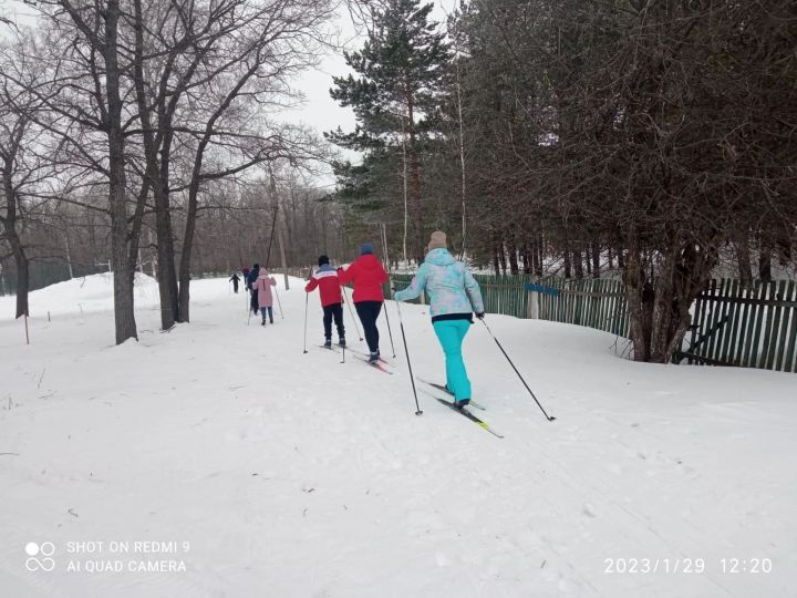 Бег на лыжах в зачёт «Зимнего фестиваля»