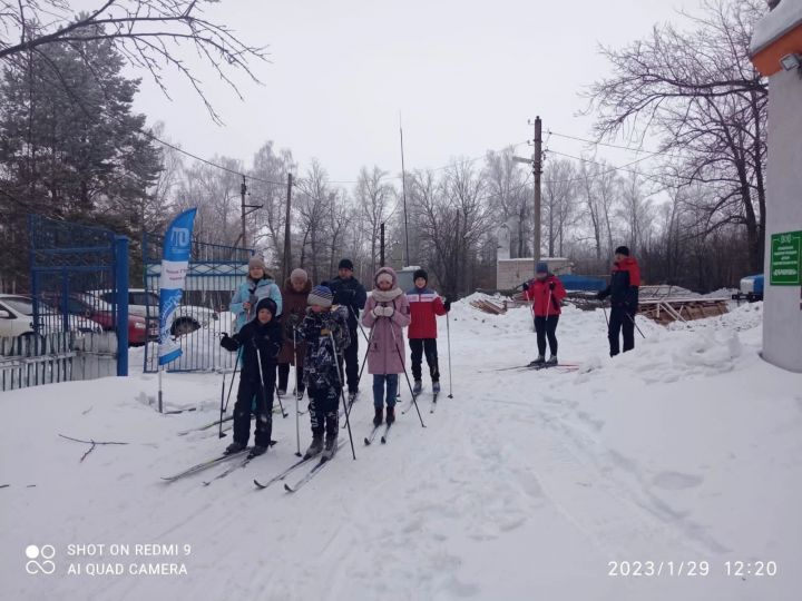 Бег на лыжах в зачёт «Зимнего фестиваля»