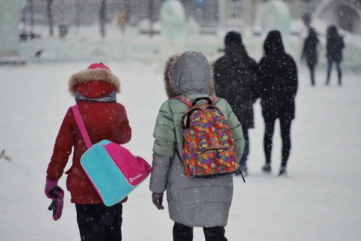 В школах республики не сократят весенние каникулы за счет морозных дней