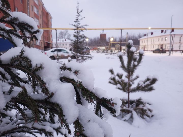 Прогноз погоды в Уруссу на 11 декабря