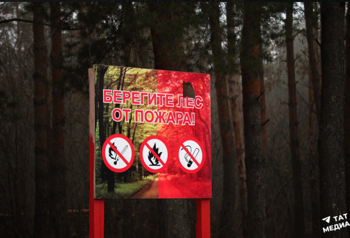 Пожароопасный сезон в этом году начнется раньше