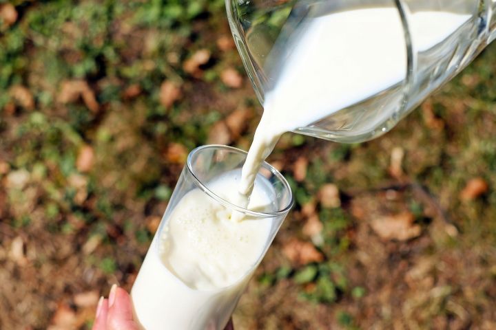 В Минсельхозпроде РТ обсудили переработку молока по испанской технологии