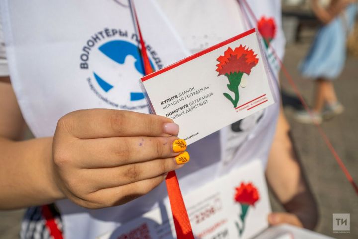 Средства акции «Красная гвоздика» будут направлены на реабилитацию участников спецоперации
