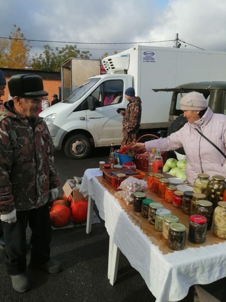 В столице Татарстана 9 сентября стартовали осенние сельскохозяйственные ярмарки