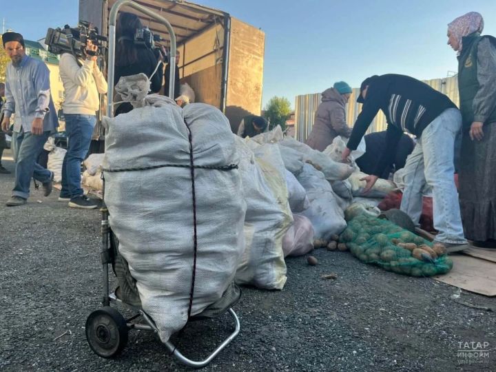 В Татарстане было собрано почти 1000 тонн продукции для помощи нуждающимся