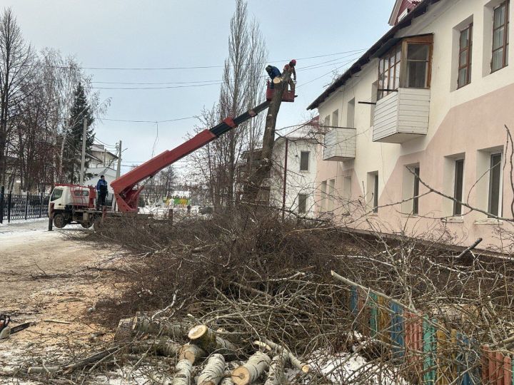 Старые тополя больше не угрожают безопасности уруссинцев