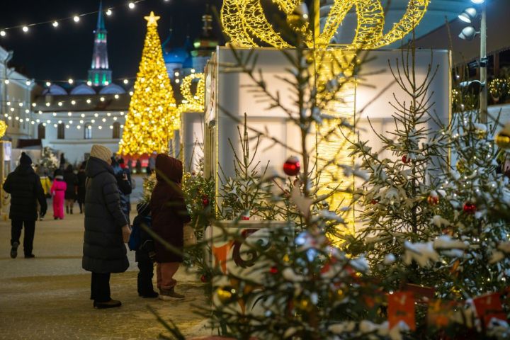 Рустам Минниханов призывает муниципалитеты к разумным расходам на новогоднее оформление