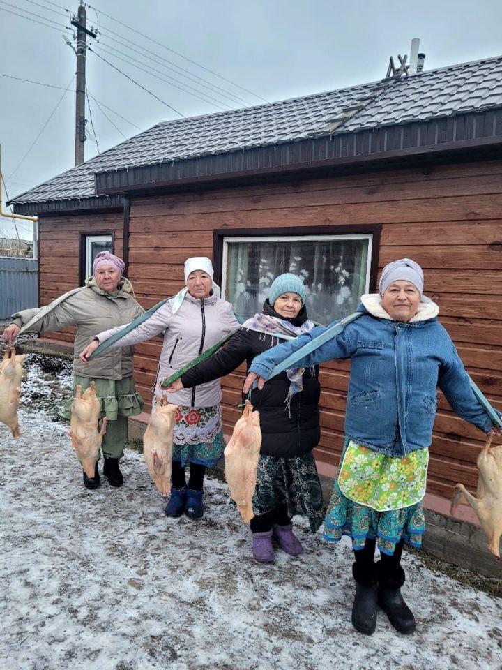 Гусей по осени не дощипали