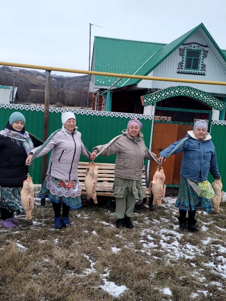 Гусей по осени не дощипали