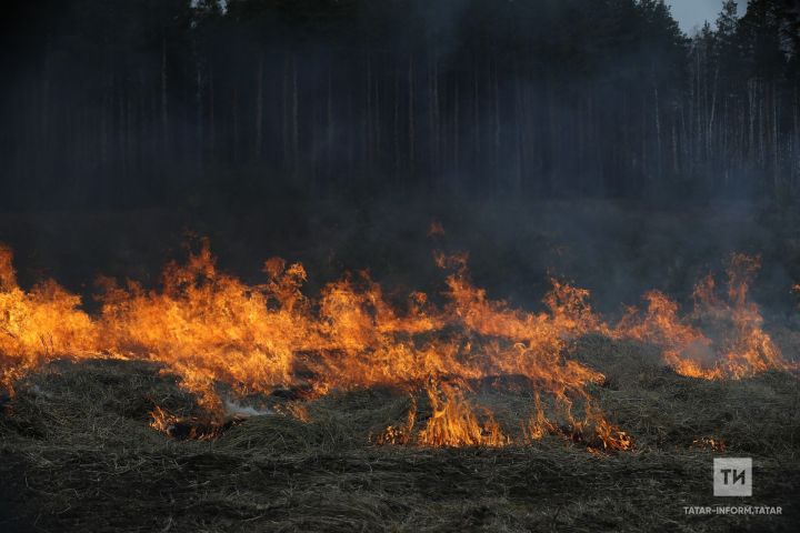 В Татарстане открыт пожароопасный сезон
