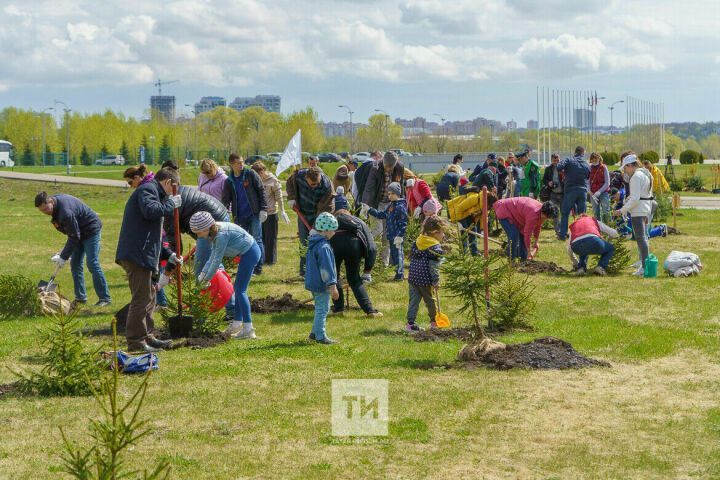 Участники акции «Сад памяти» высадят в Татарстане 1 млн саженцев ели, сосны и лиственницы