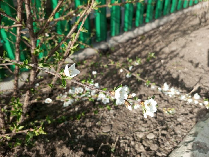 Приметы на 25 апреля: что нельзя выносить из дома и что нужно точно отдать