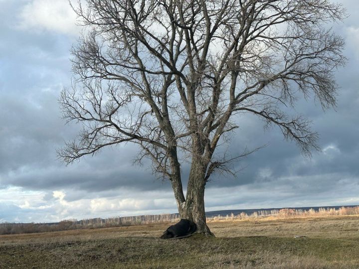 Мужчины в России живут на 10 лет меньше женщин из-за высокой заболеваемости