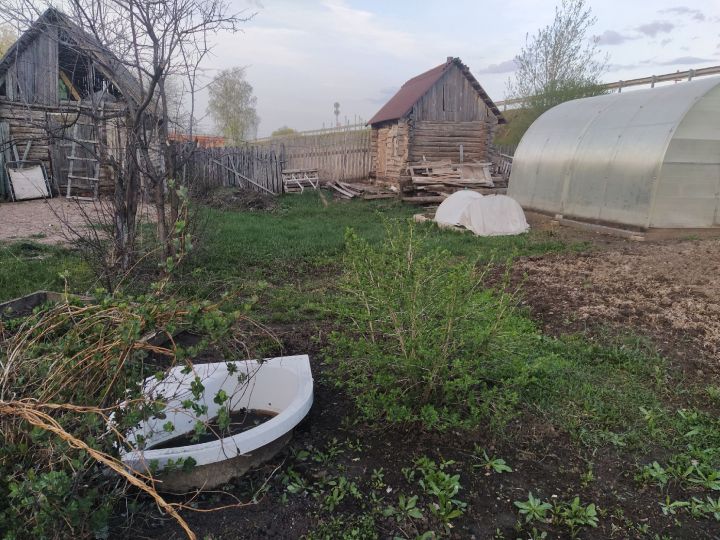Что нужно посадить в мае: план на майские праздники