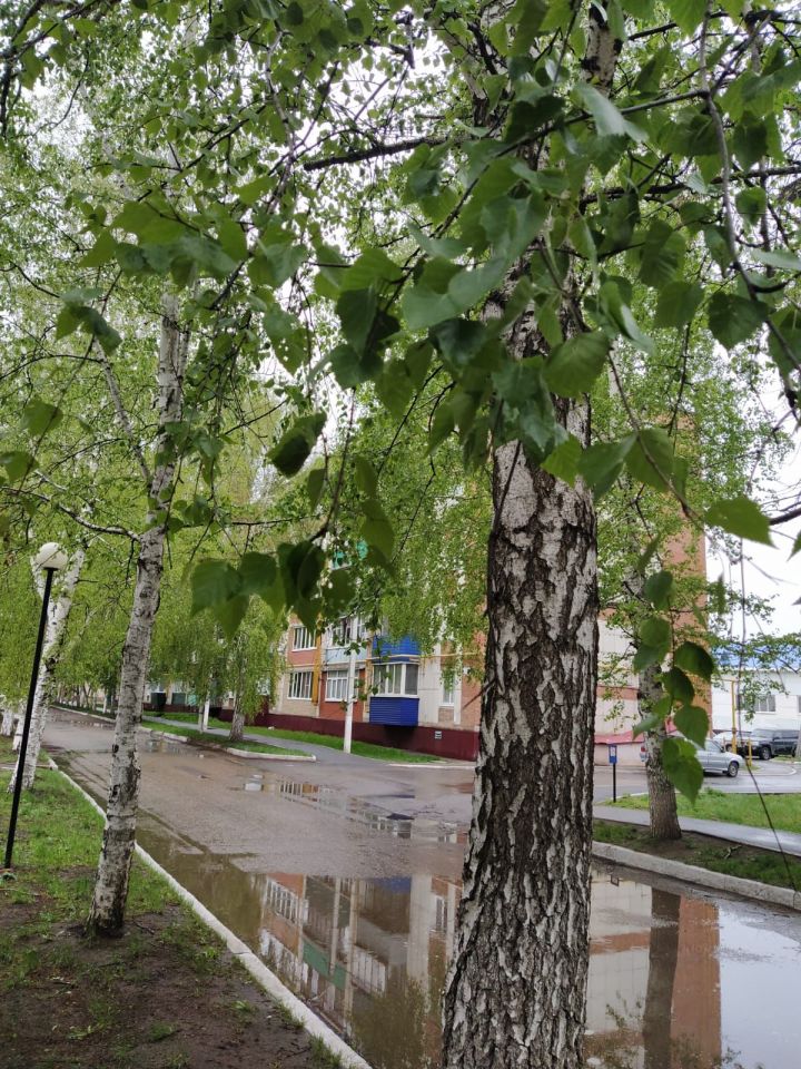 В Уруссу сегодня пасмурно