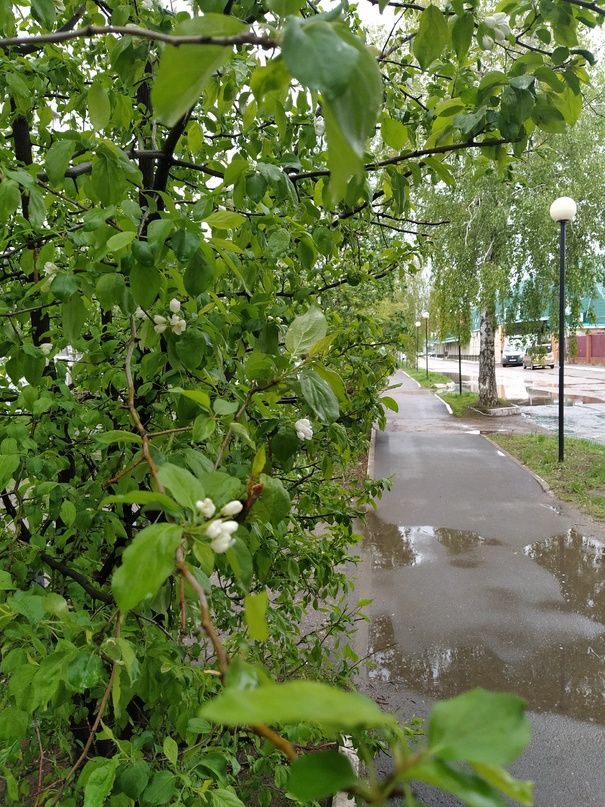 Сегодня днем погода в Уруссу будет облачная, кратковременный дождь