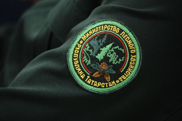 Минлесхоз Татарстана намерен повысить выплату для молодых кадров до полумиллиона рублей