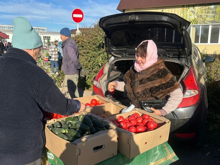 Помидоры, огурцы, растительное и сливочное масло подорожали в РТ