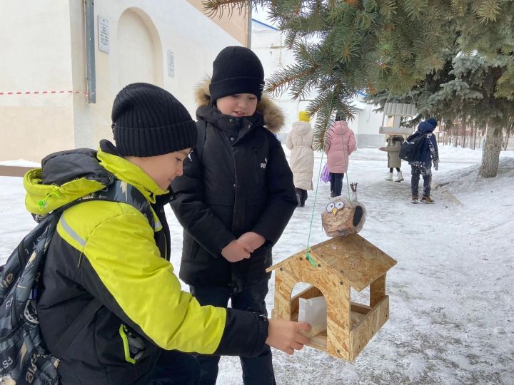 Зима - очень тяжёлое время года для птиц