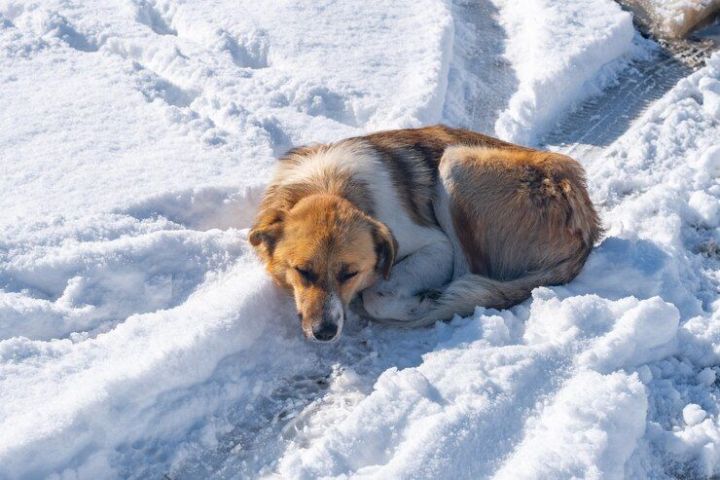 Народные приметы на 22 января