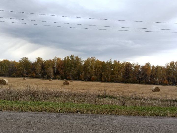 Погода на 13 октября