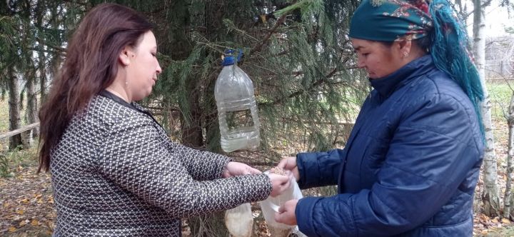 Забота о птицах: акция по установке кормушек в парках