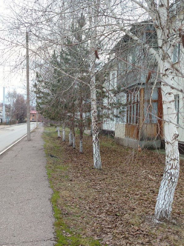Доброе утро, земляки!