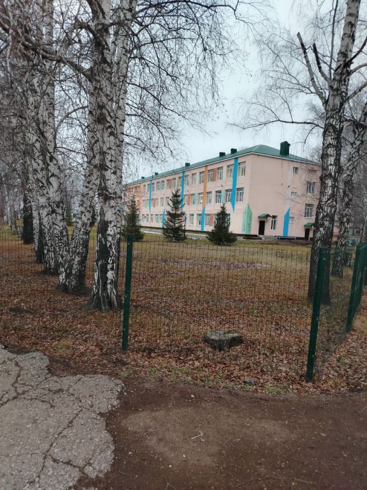 Доброе декабрьское утро, земляки!
