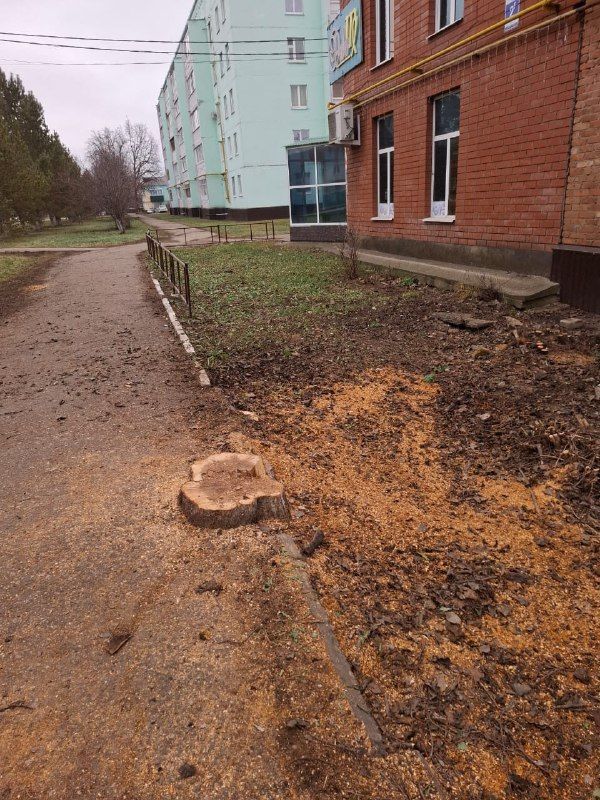 Декабрьский субботник на улице Джалиля