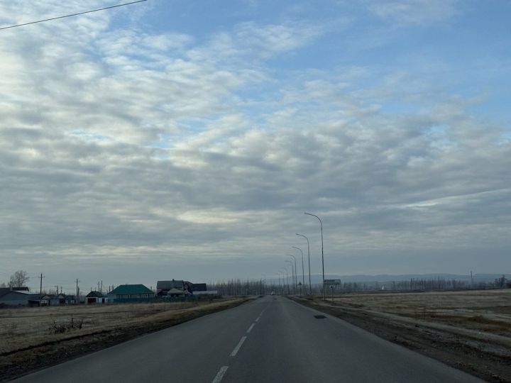 С 1 января 2026 года более 60 новых знаков ждут водителей