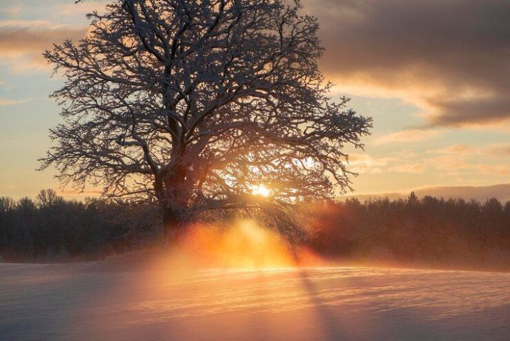 Доброе утро наши дорогие подписчики!