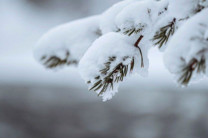 Народные приметы на 6 февраля