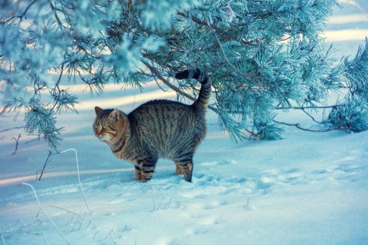 Спокойной ночи, дорогие наши подписчики!