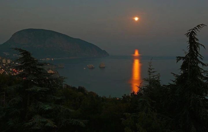 «Артек» — это состояние души
