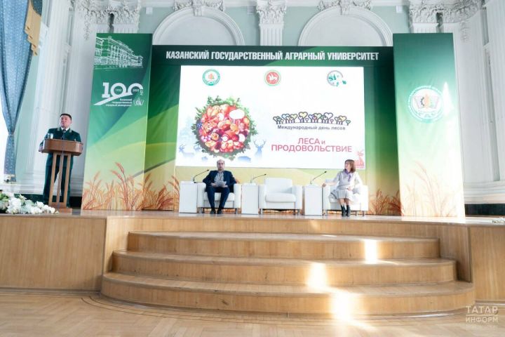 Леса Татарстана: ключевой элемент экосистемы и планы на восстановление