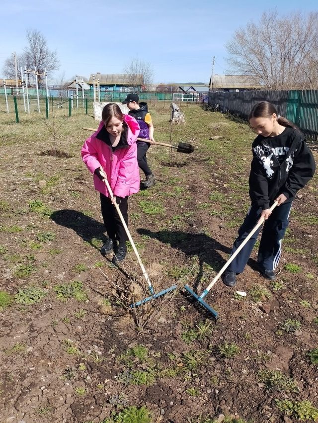 Каразерикцы участвует в конкурсе ЭКОВЕСНА-2025
