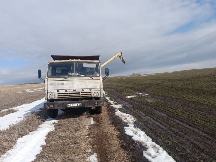 Два хозяйства района завершили подкормку озимых