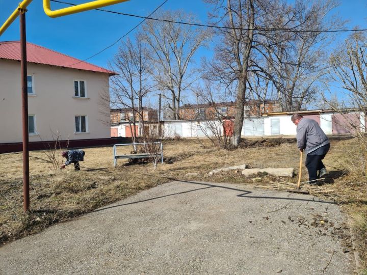 ТОС и ТСЖ совместно работают над чистотой и благоустройством