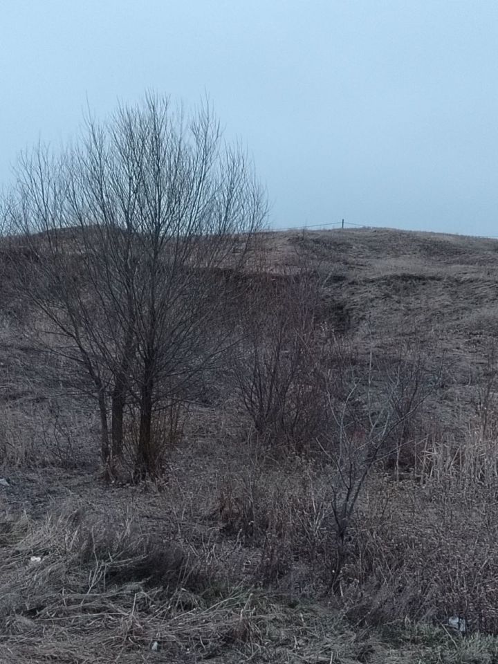 Сладких снов, наши любимые подписчики!